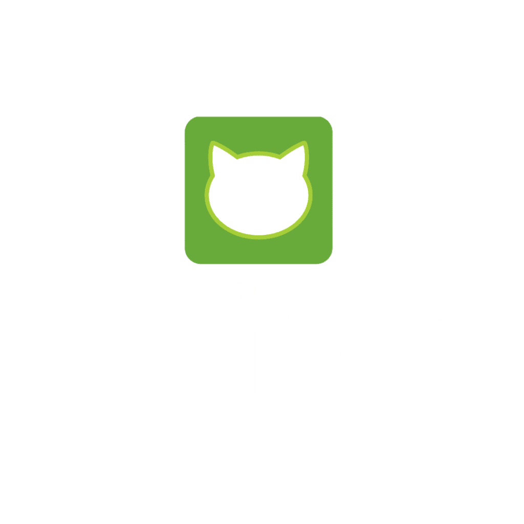 Grupo Gatto